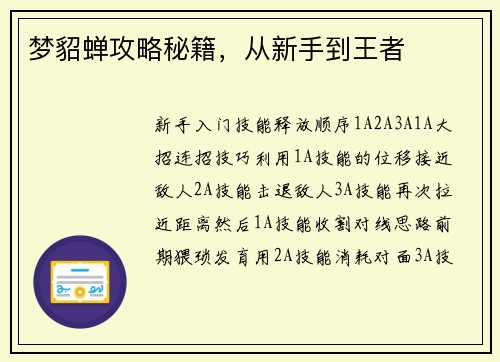 梦貂蝉攻略秘籍，从新手到王者